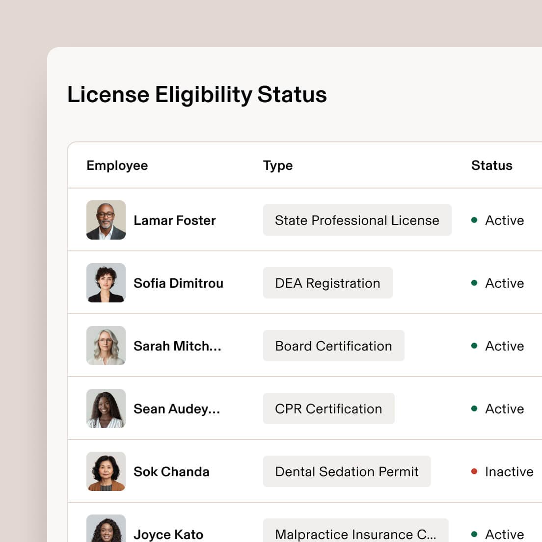 Employee license eligibility table showing license types and active or inactive status.