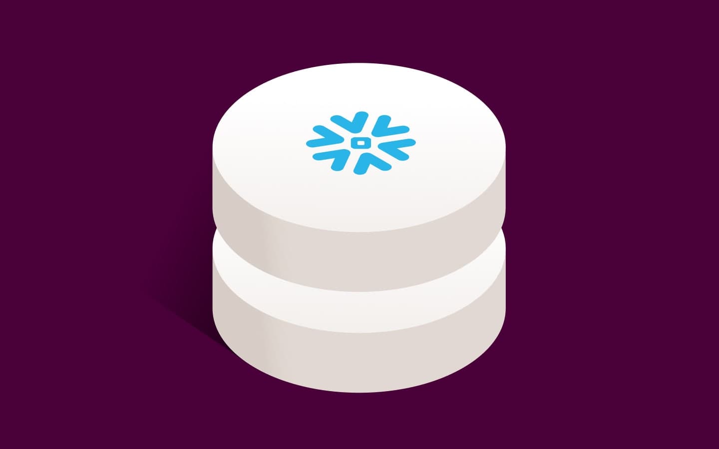 Blue snowflake symbol on a database cylinder.